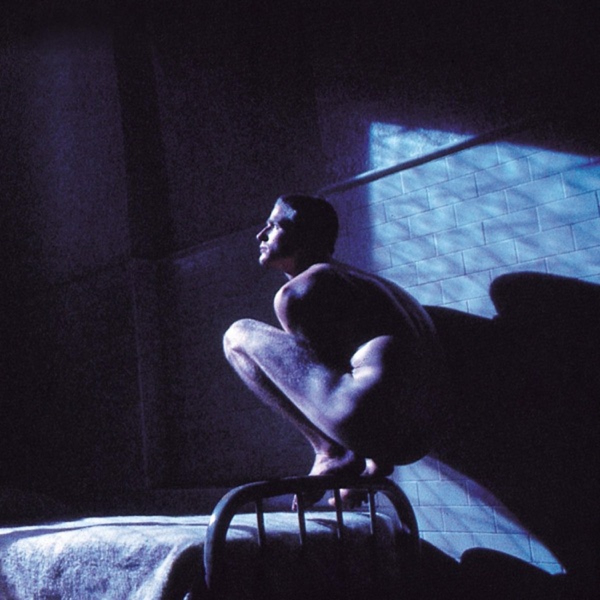 Birdy by Peter Gabriel