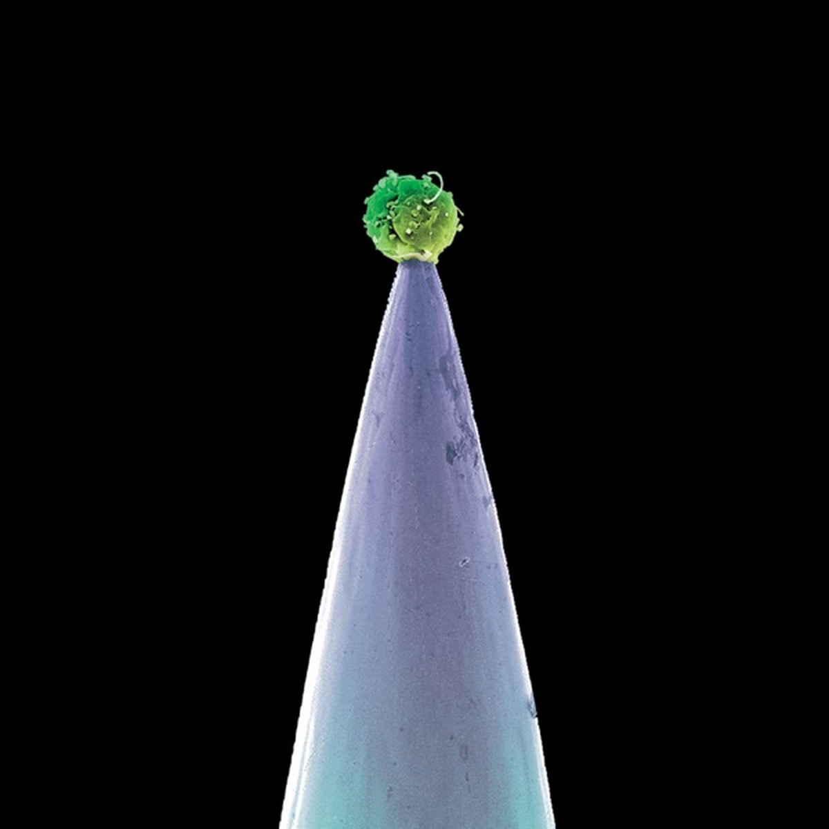 New Blood by Peter Gabriel album cover
