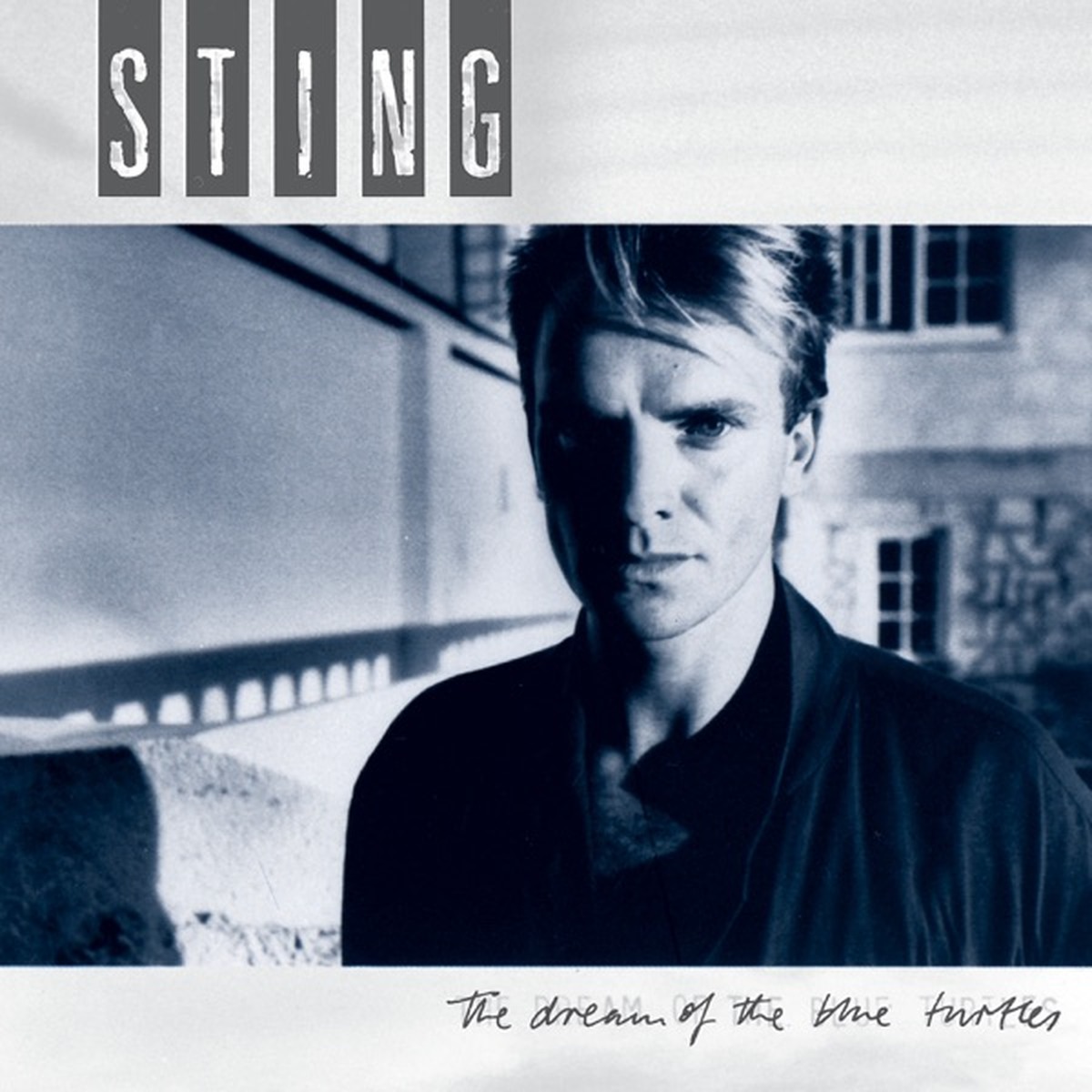 The Dream of the Blue Turtles by Sting album cover