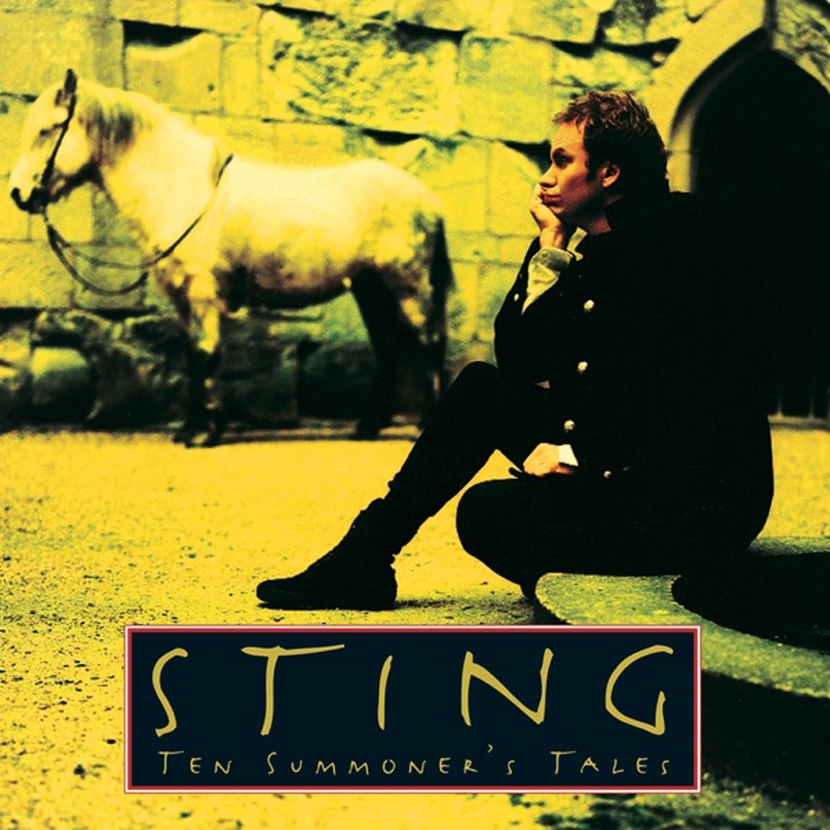 Ten Summoner's Tales by Sting album cover