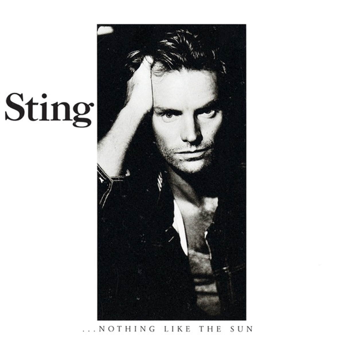 ...Nothing Like the Sun by Sting album cover