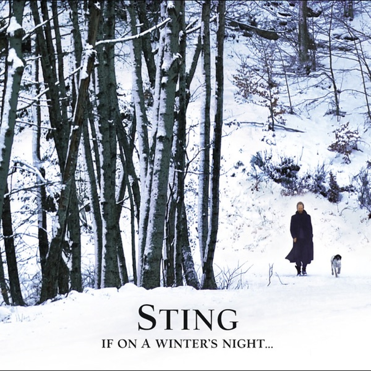 If on a Winter's Night... by Sting album cover