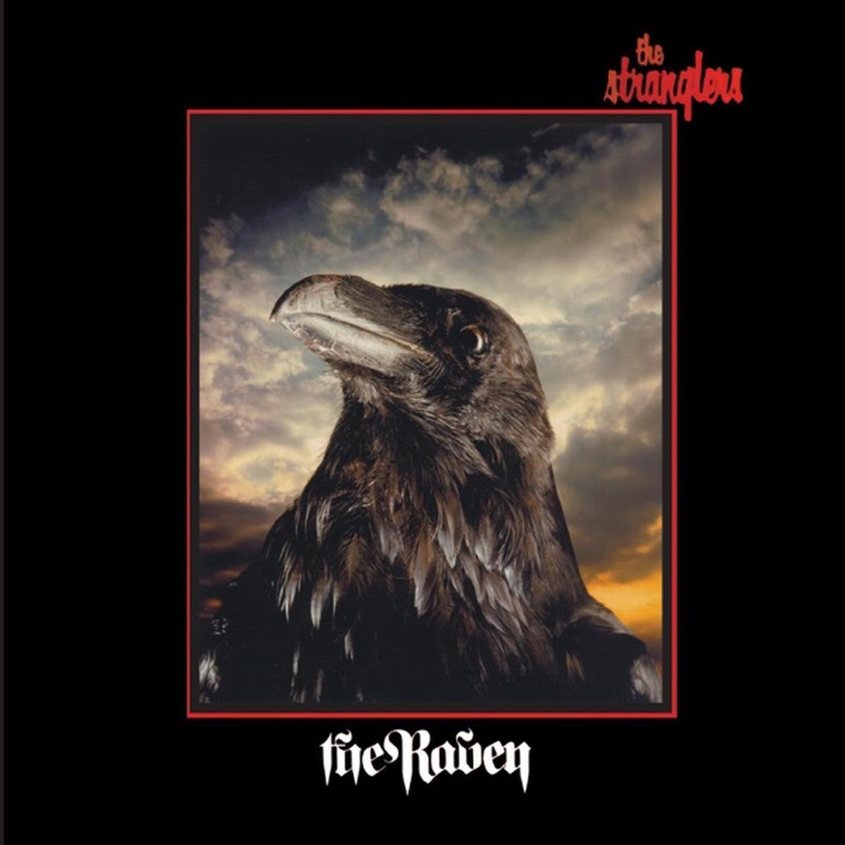 The Raven by The Stranglers album cover