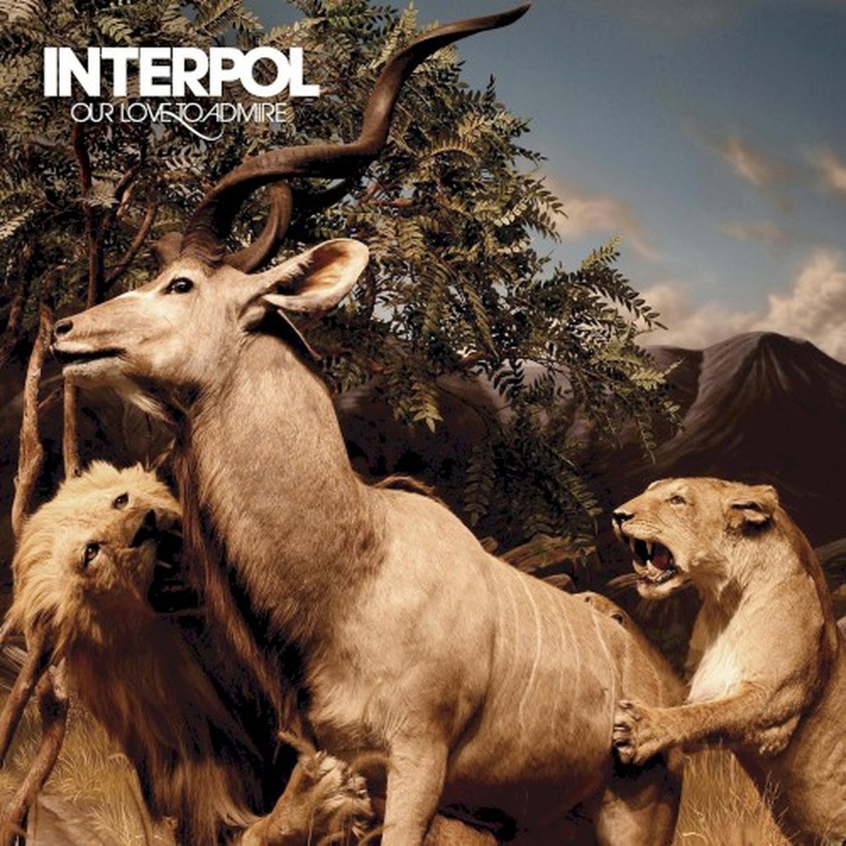 Our Love to Admire by Interpol album cover