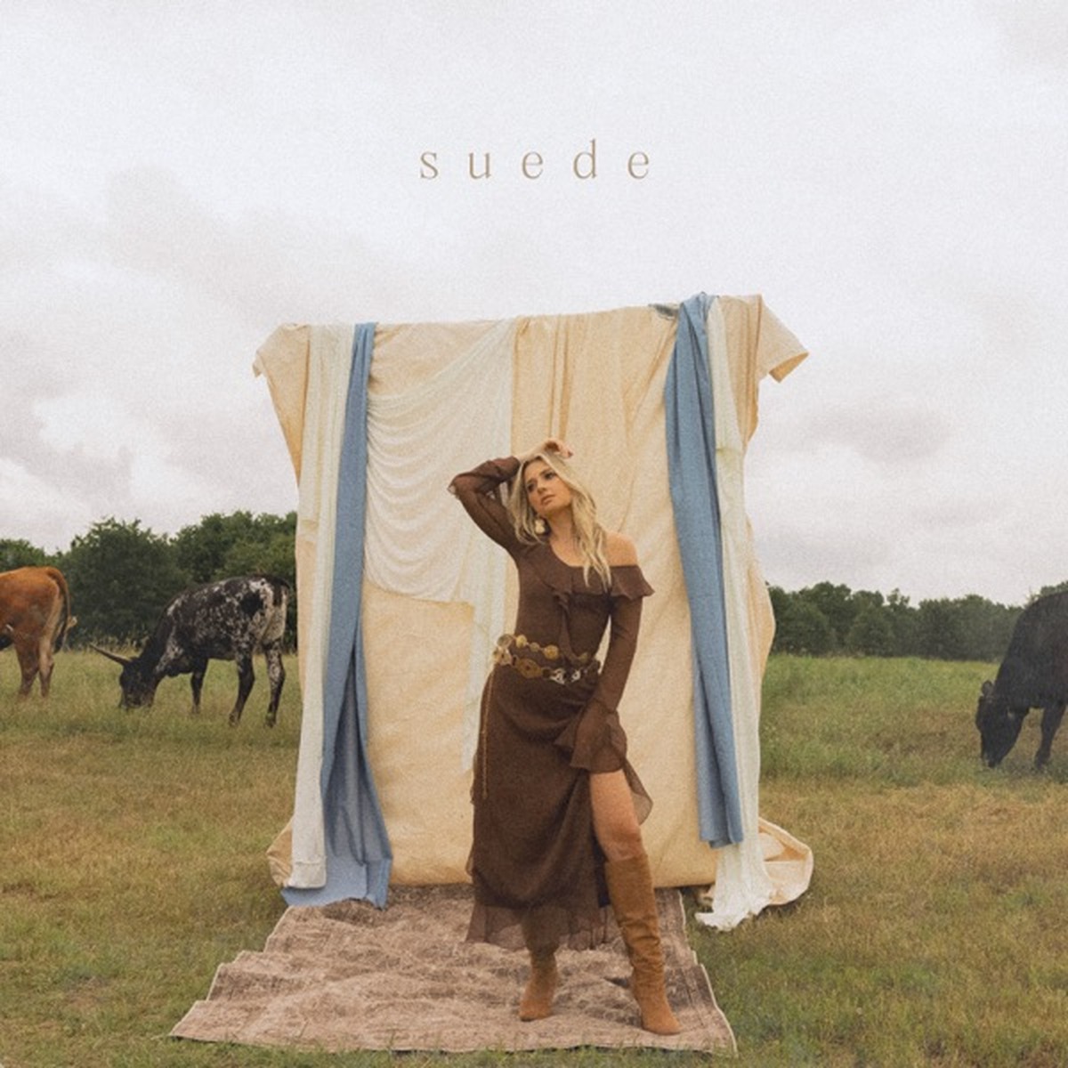 Suede (album) by Suede album cover