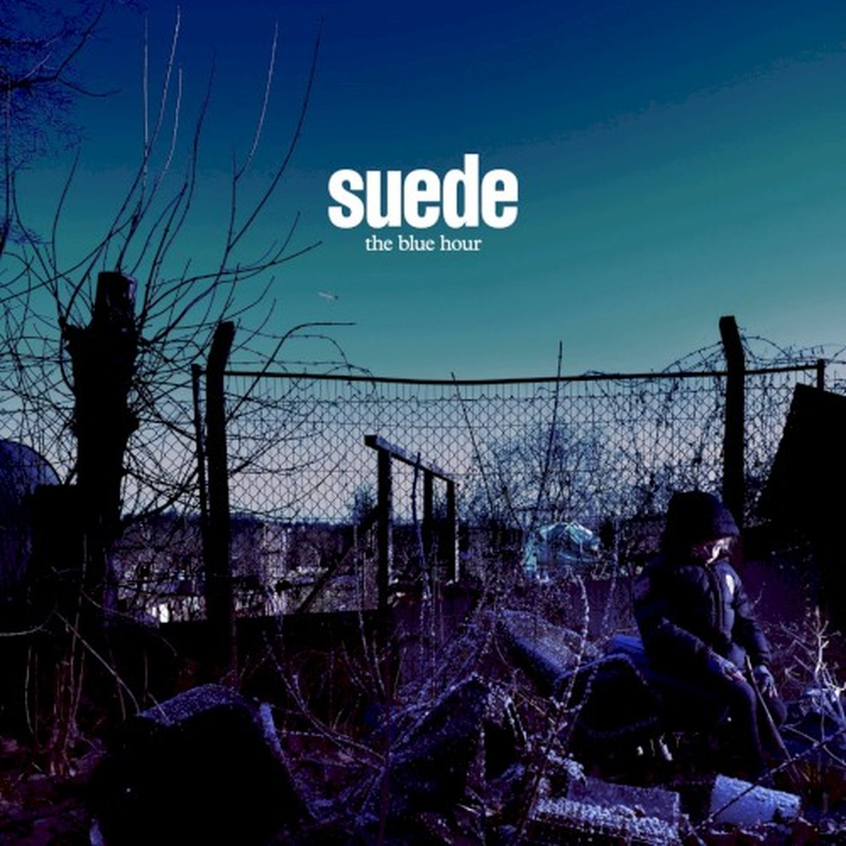 The Blue Hour by Suede