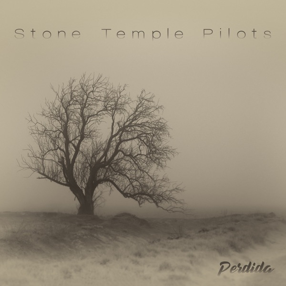Perdida by Stone Temple Pilots album cover