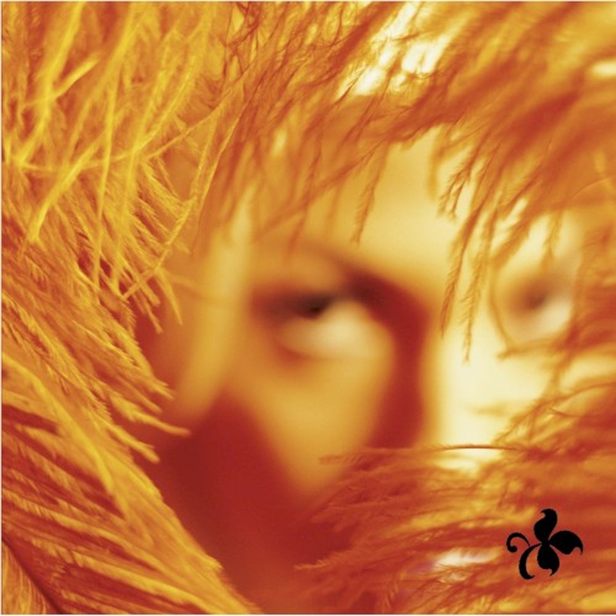 Shangri-La Dee Da by Stone Temple Pilots album cover