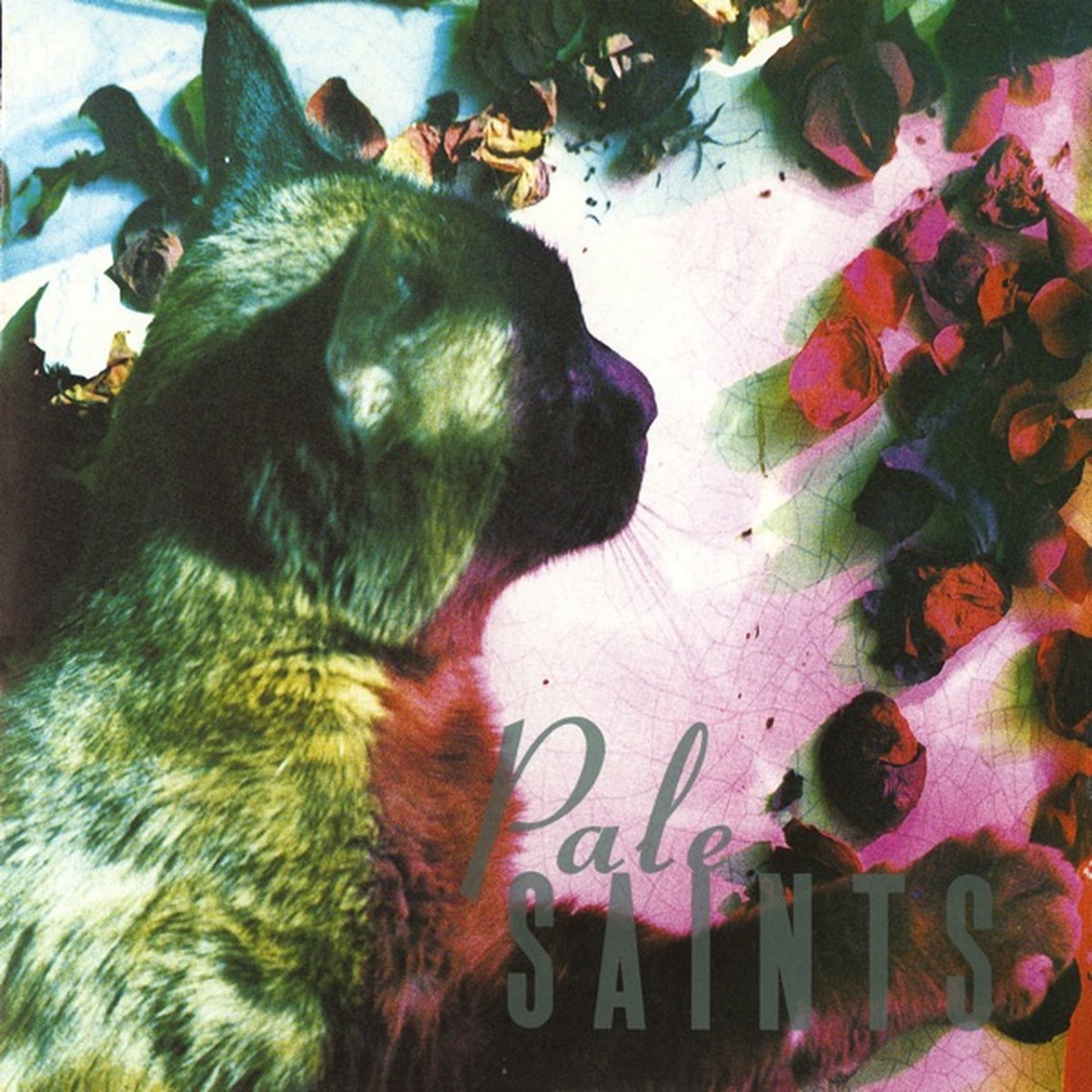The Comforts of Madness by Pale Saints album cover