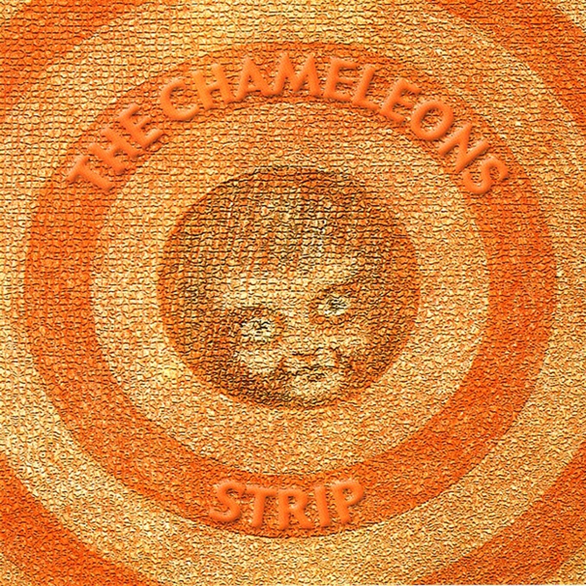 Strip (The Chameleons album) by The Chameleons album cover