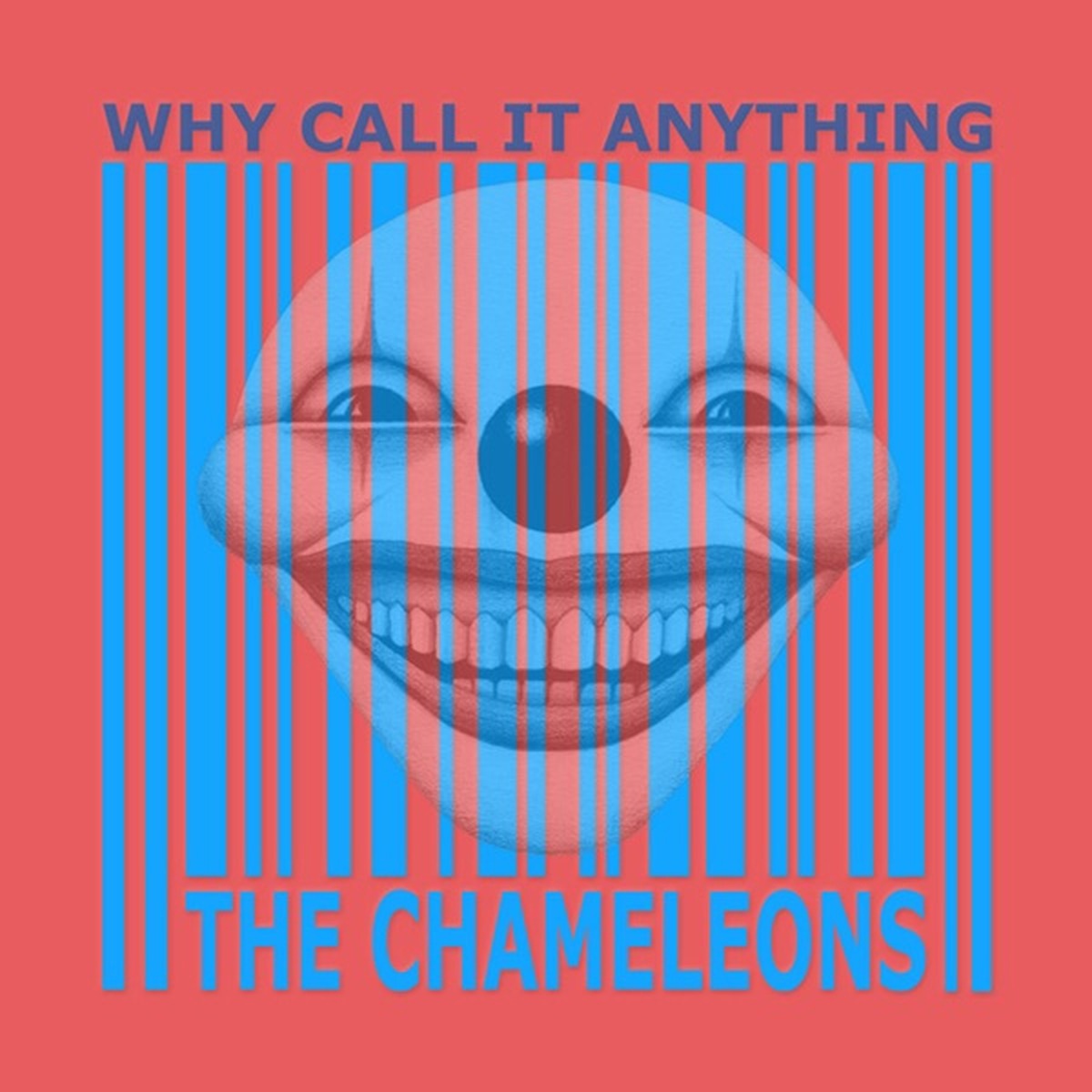 Why Call It Anything by The Chameleons album cover