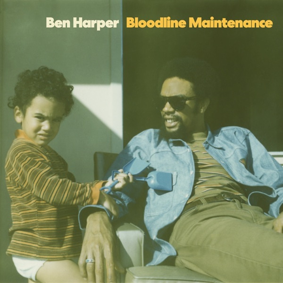 Bloodline Maintenance by Ben Harper album cover
