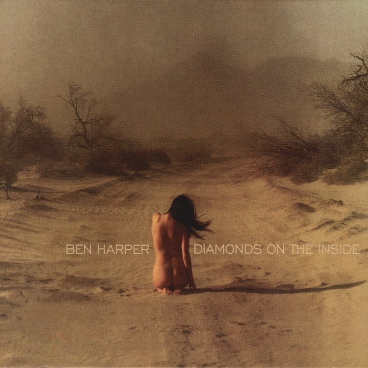 Diamonds On the Inside by Ben Harper