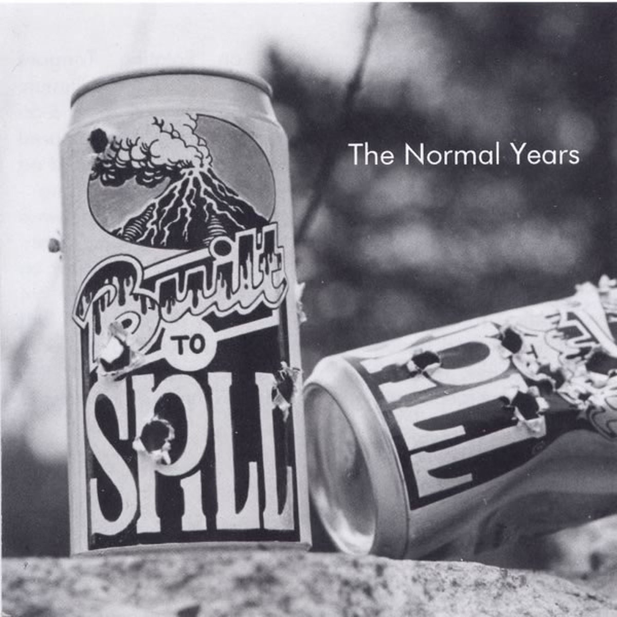 The Normal Years by Built To Spill album cover