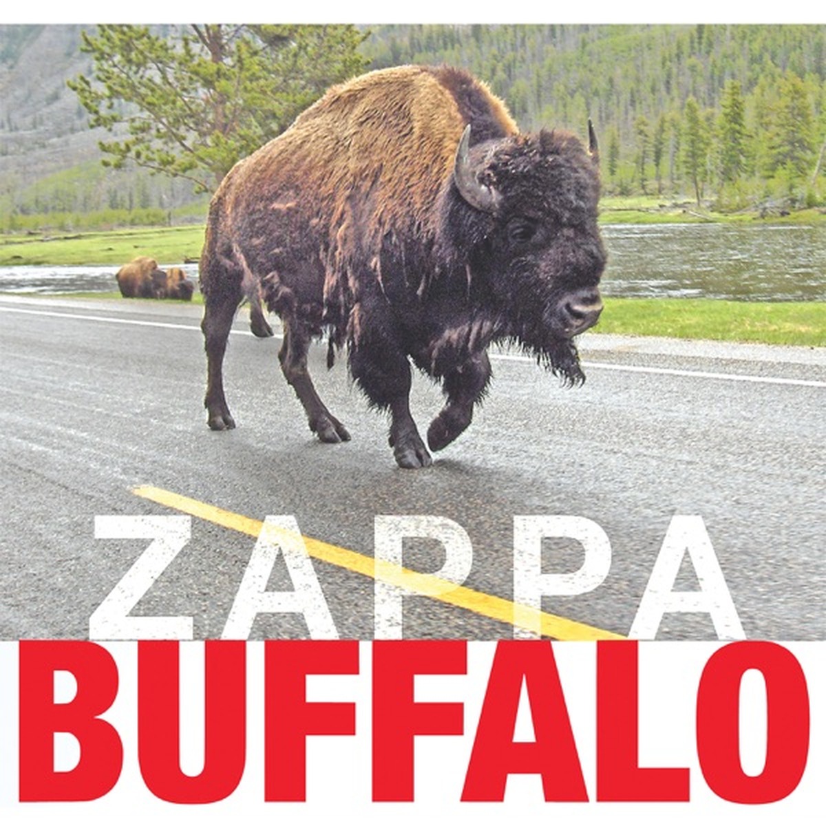 Buffalo (Frank Zappa album) by Frank Zappa album cover