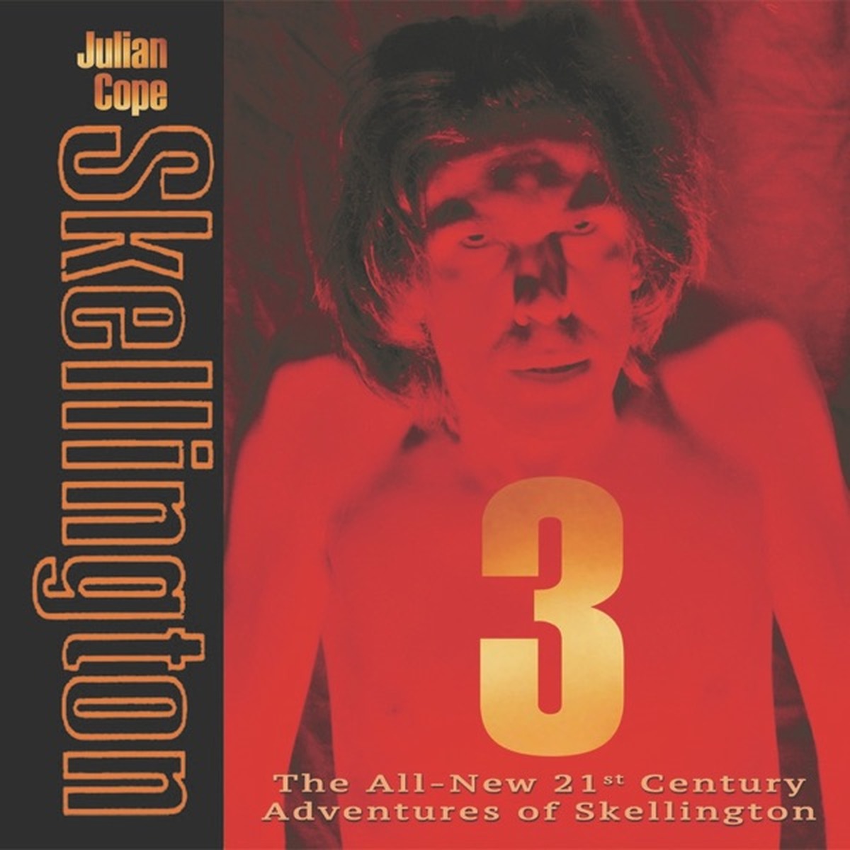 Skellington (album) by Julian Cope album cover