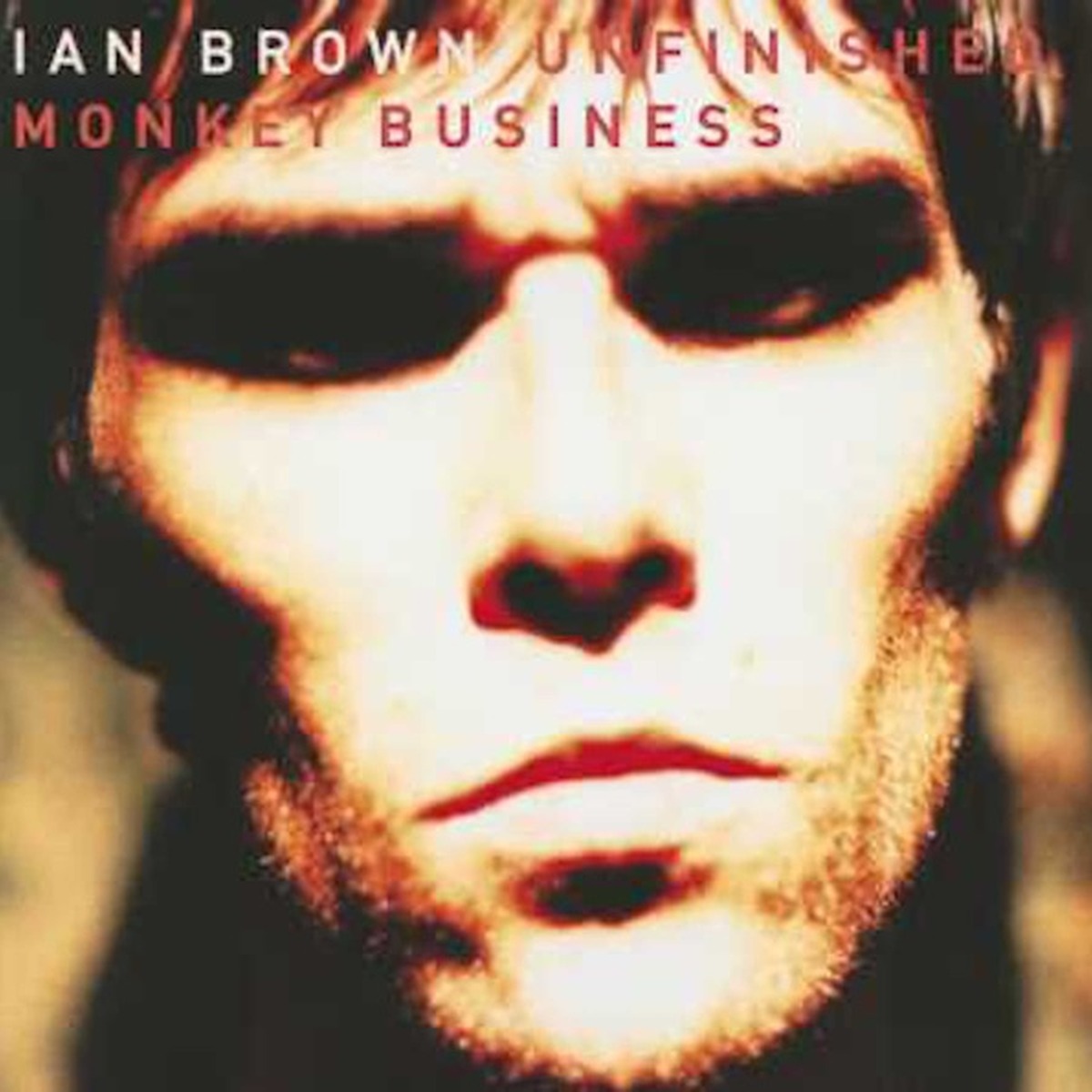 Unfinished Monkey Business by Ian Brown album cover