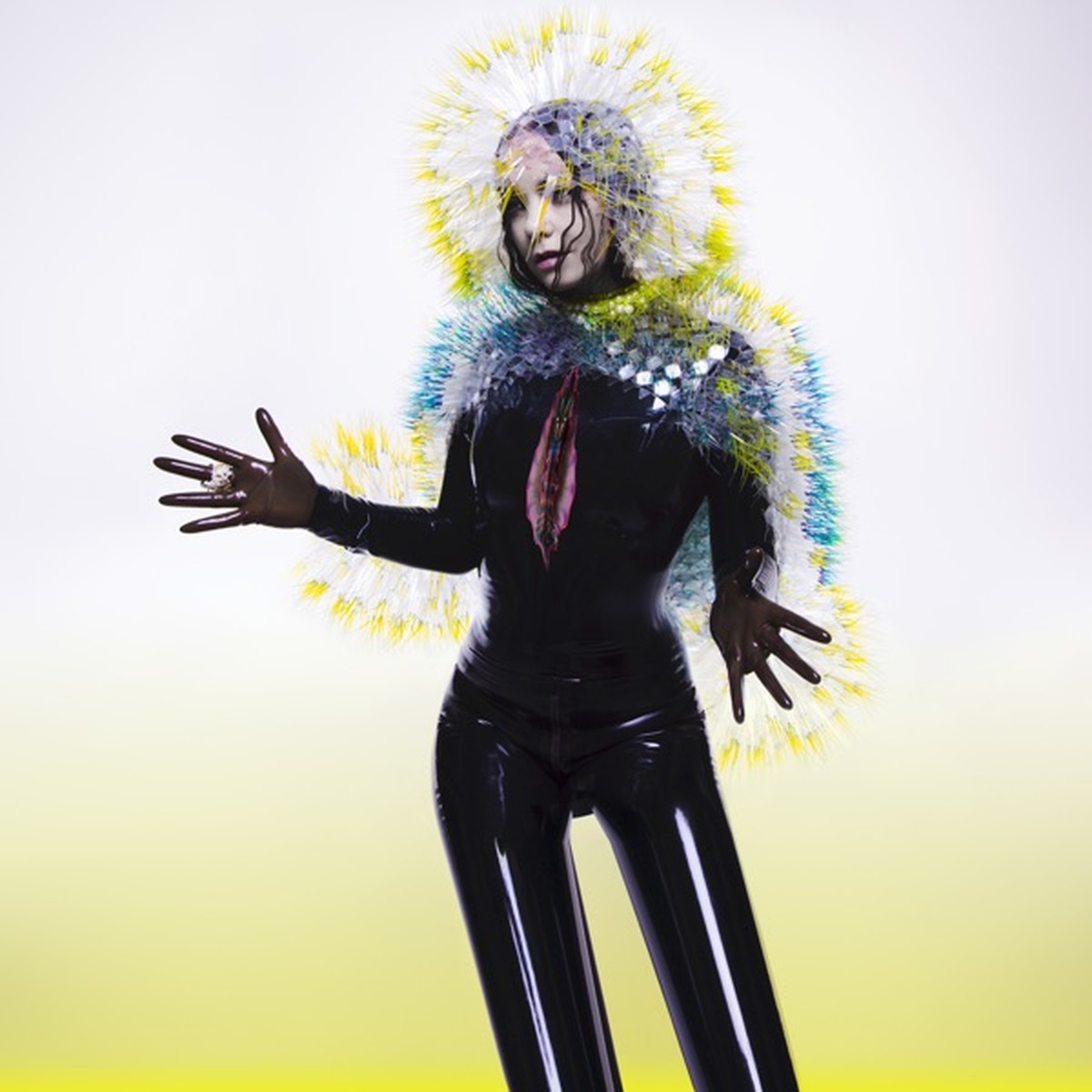 Vulnicura by Björk album cover
