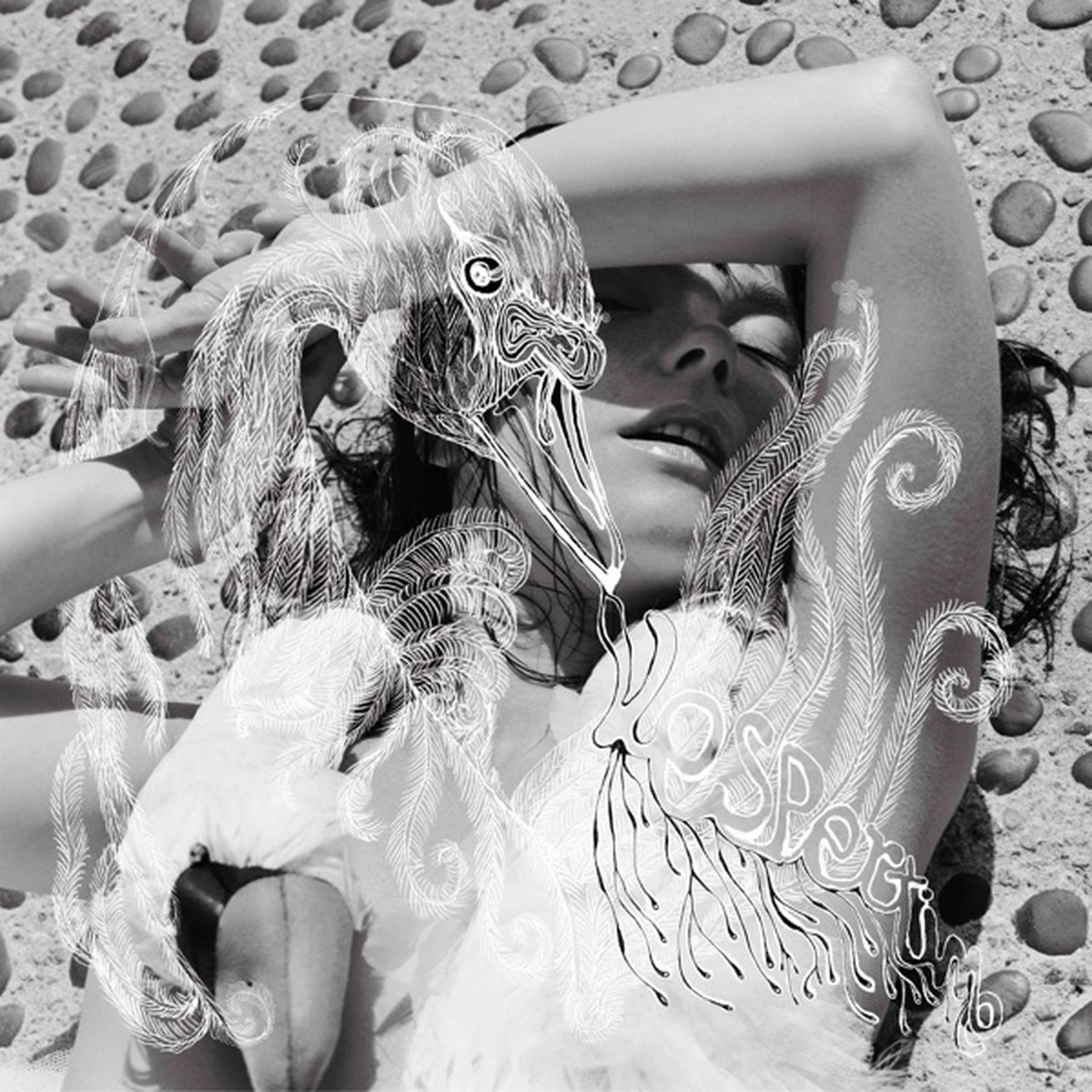 Vespertine by Björk album cover
