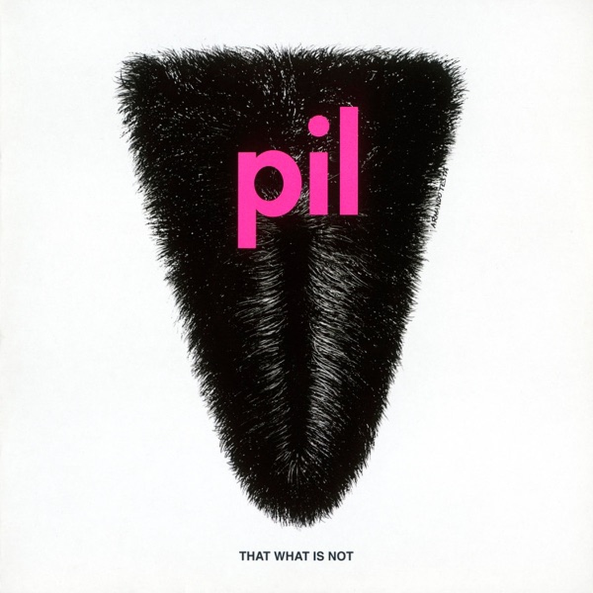 That What Is Not by Public Image Ltd album cover