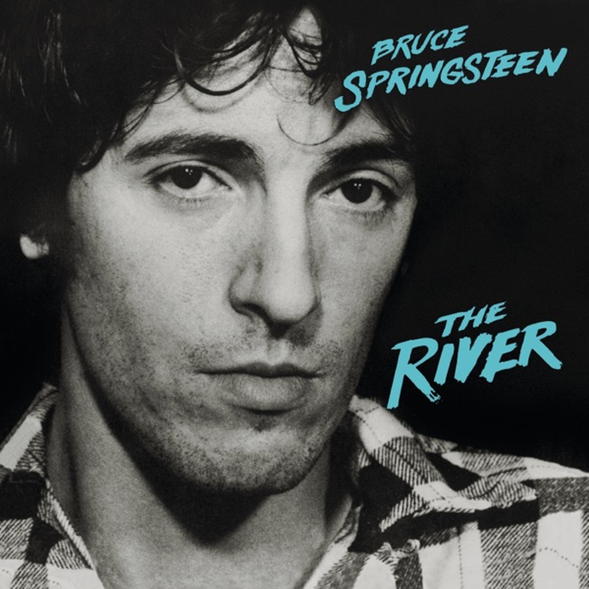 The River by Bruce Springsteen album cover