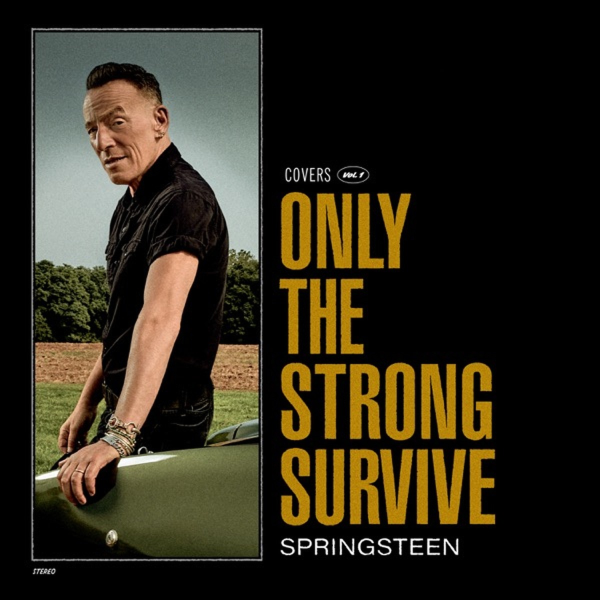 Only the Strong Survive by Bruce Springsteen album cover
