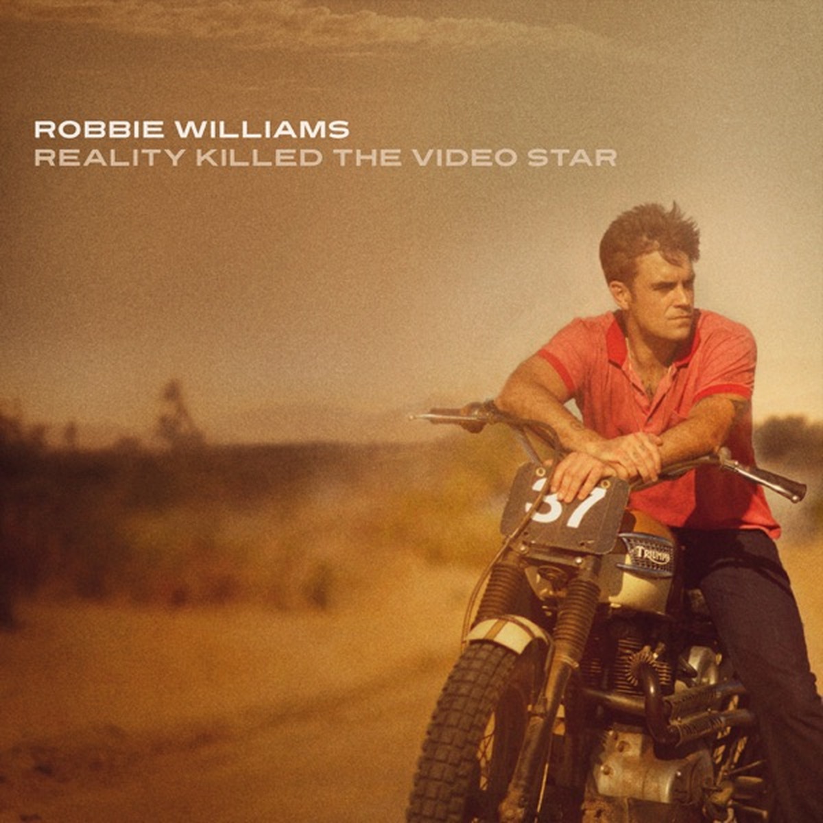 Reality Killed the Video Star by Robbie Williams album cover