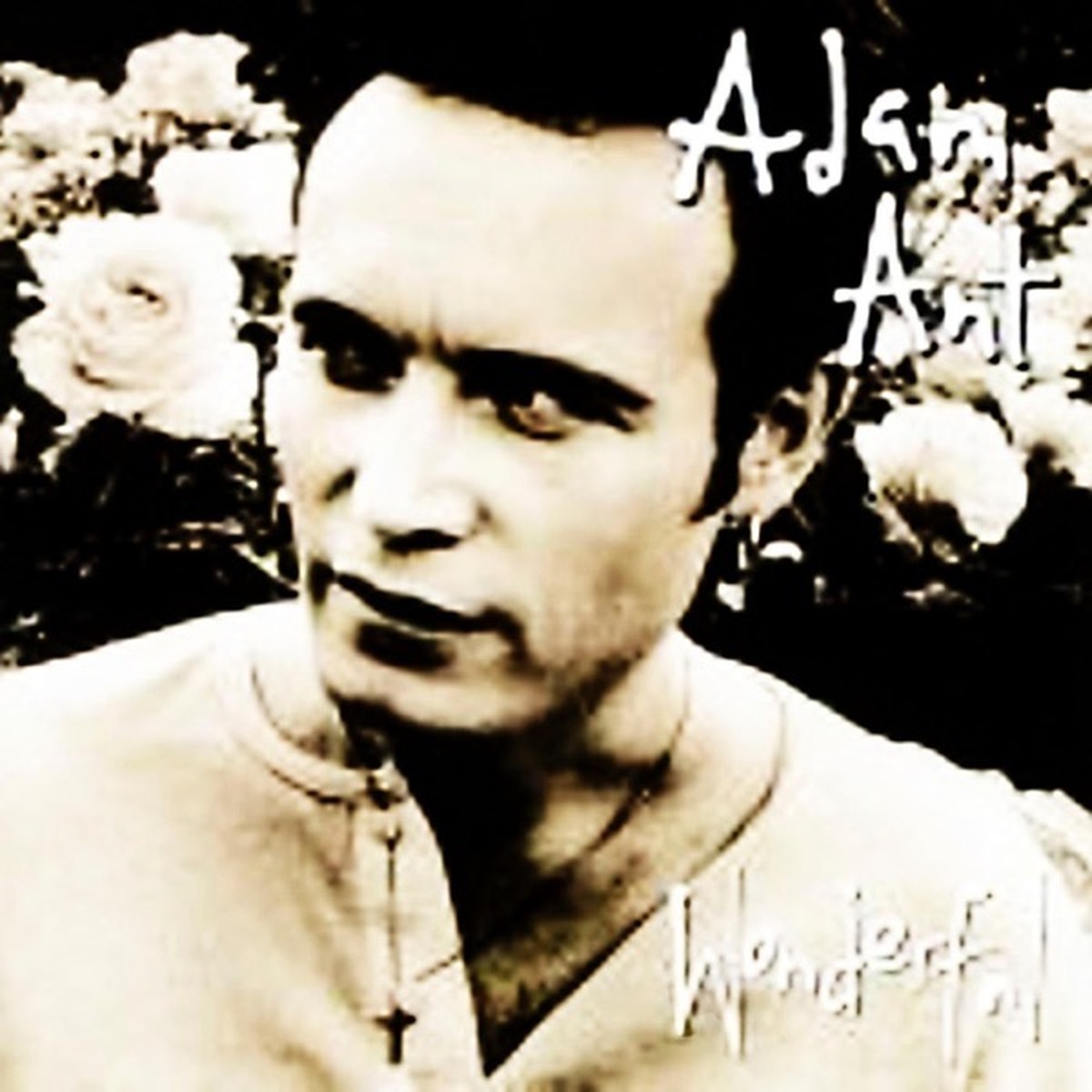 Wonderful by Adam Ant
