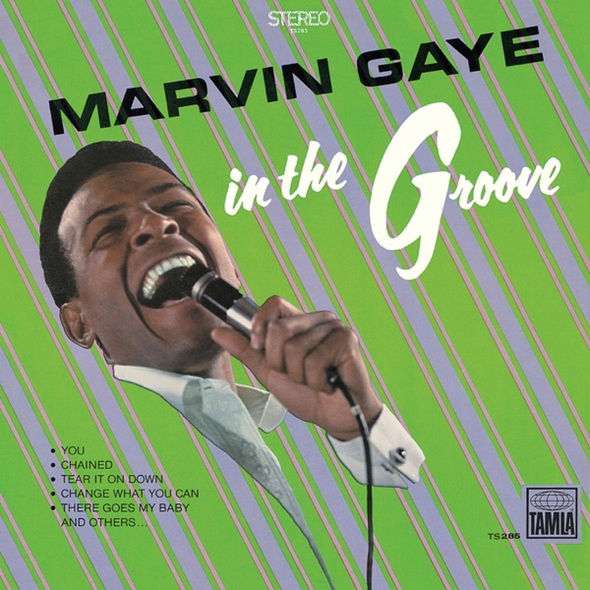In the Groove