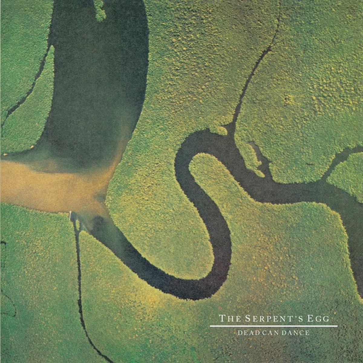 The Serpent's Egg by Dead Can Dance album cover
