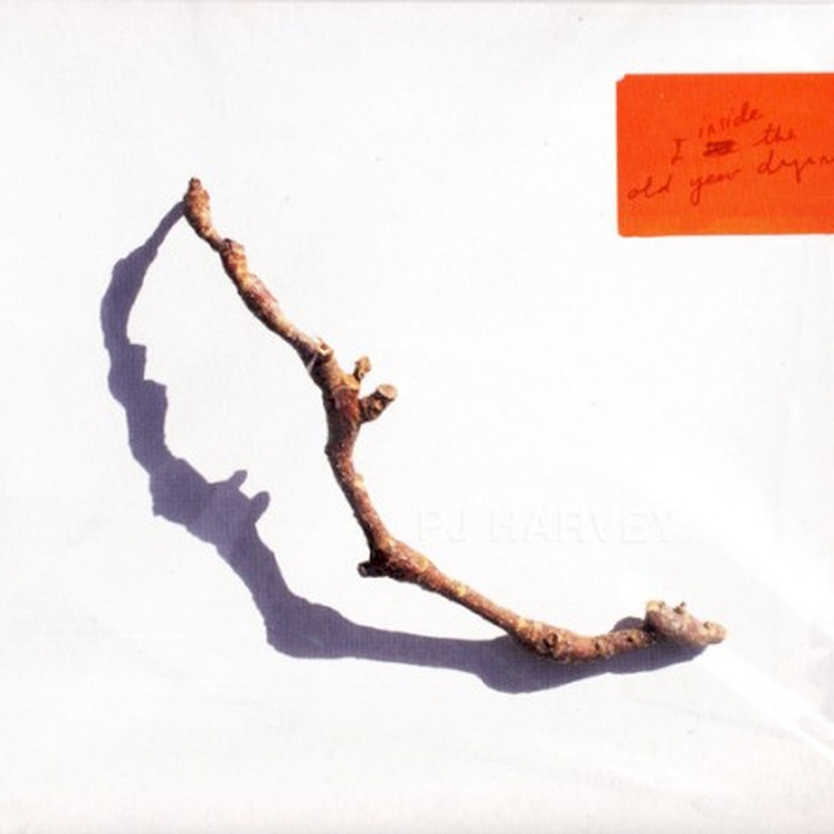 I Inside the Old Year Dying by PJ Harvey album cover