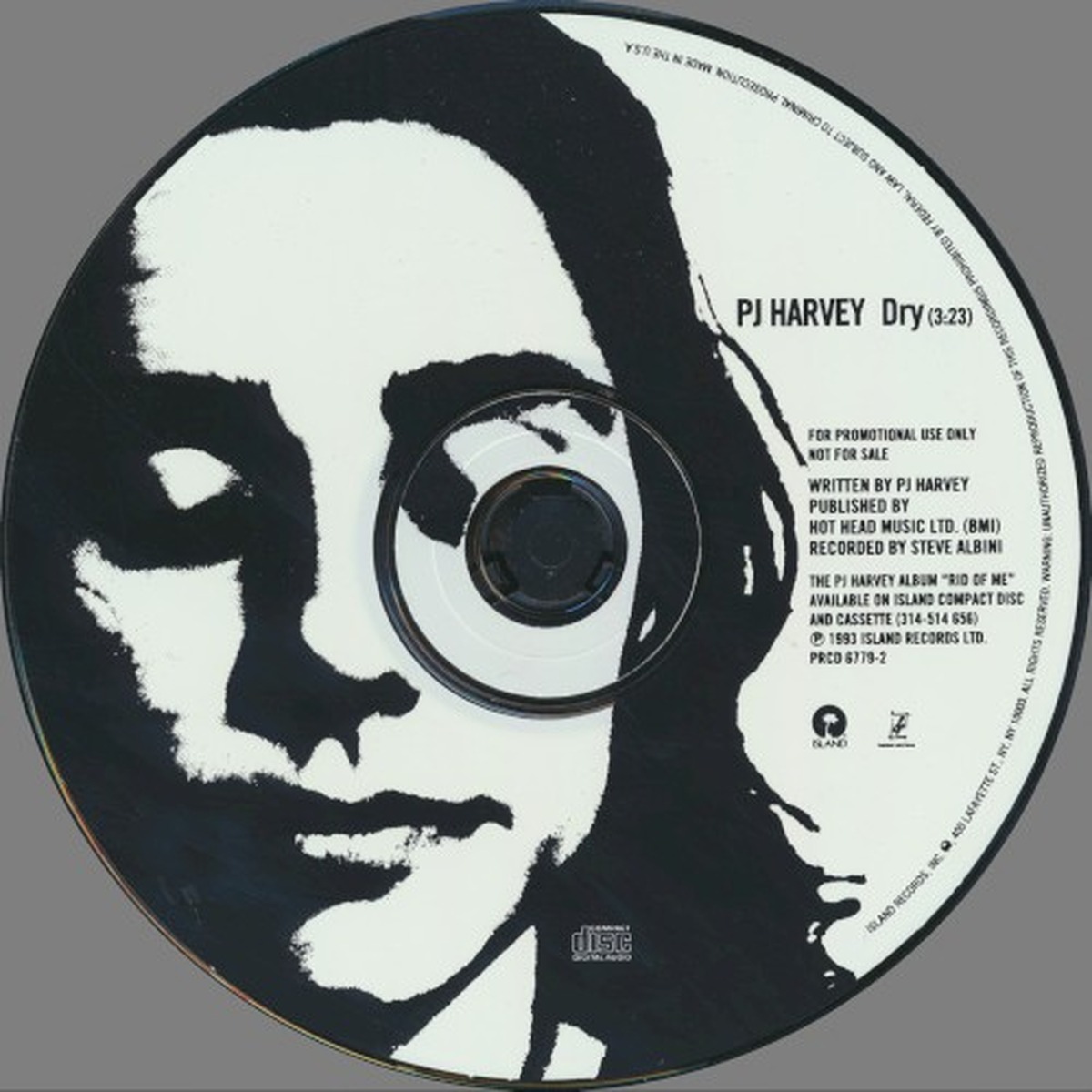 Dry by PJ Harvey album cover