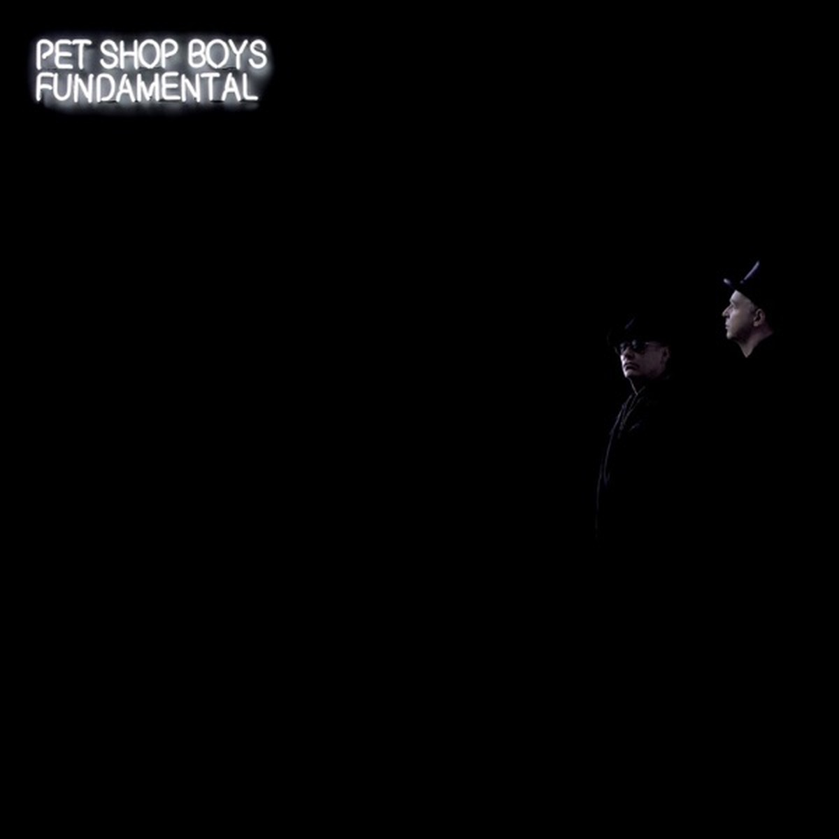 Fundamental (Pet Shop Boys album) by Pet Shop Boys