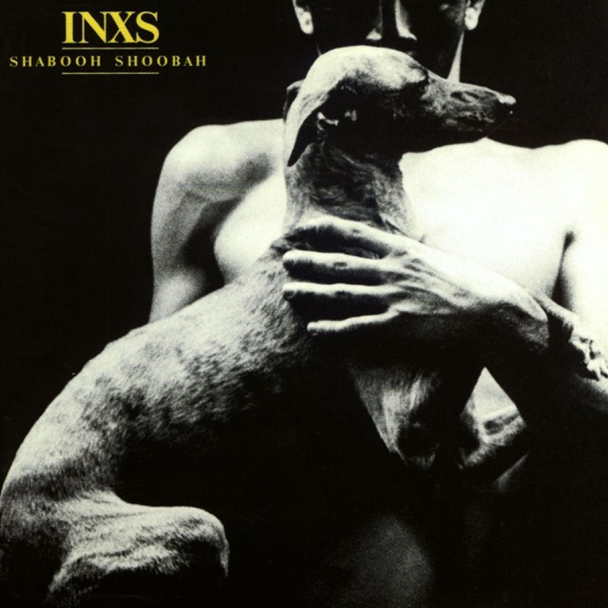 Shabooh Shoobah by INXS album cover