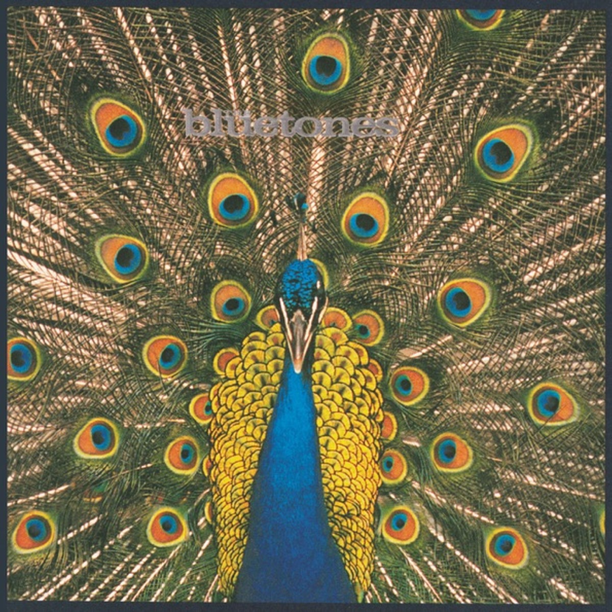 Expecting to Fly by The Bluetones album cover