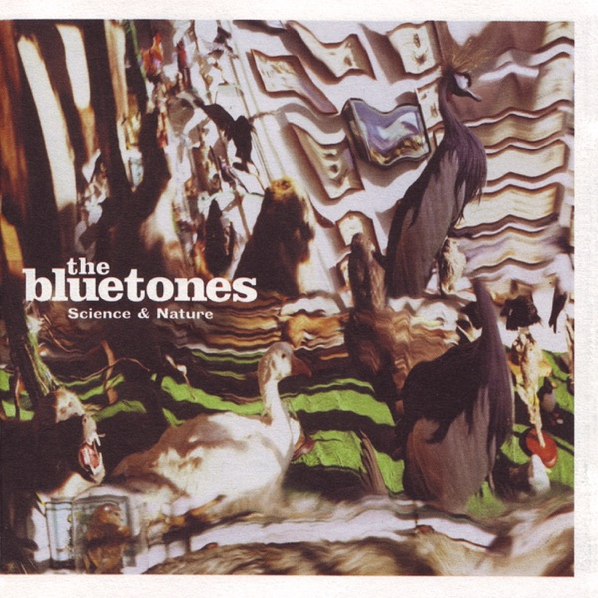 Science & Nature (The Bluetones album) by The Bluetones album cover
