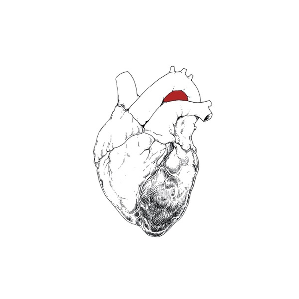 The Beggar (album) by Swans album cover