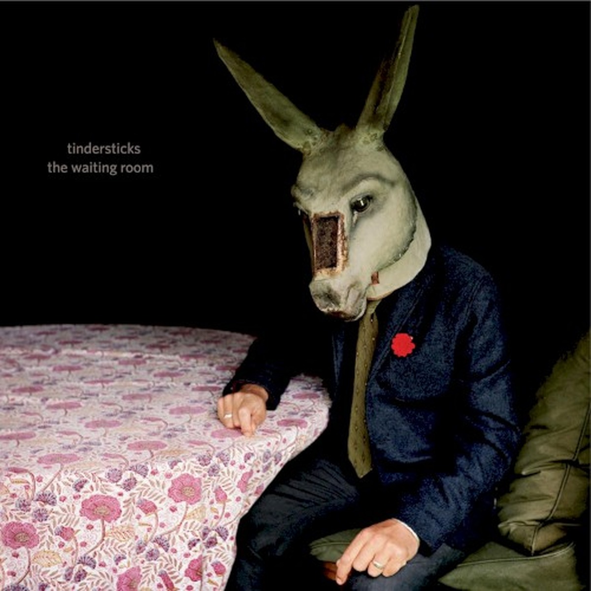 The Waiting Room by Tindersticks album cover