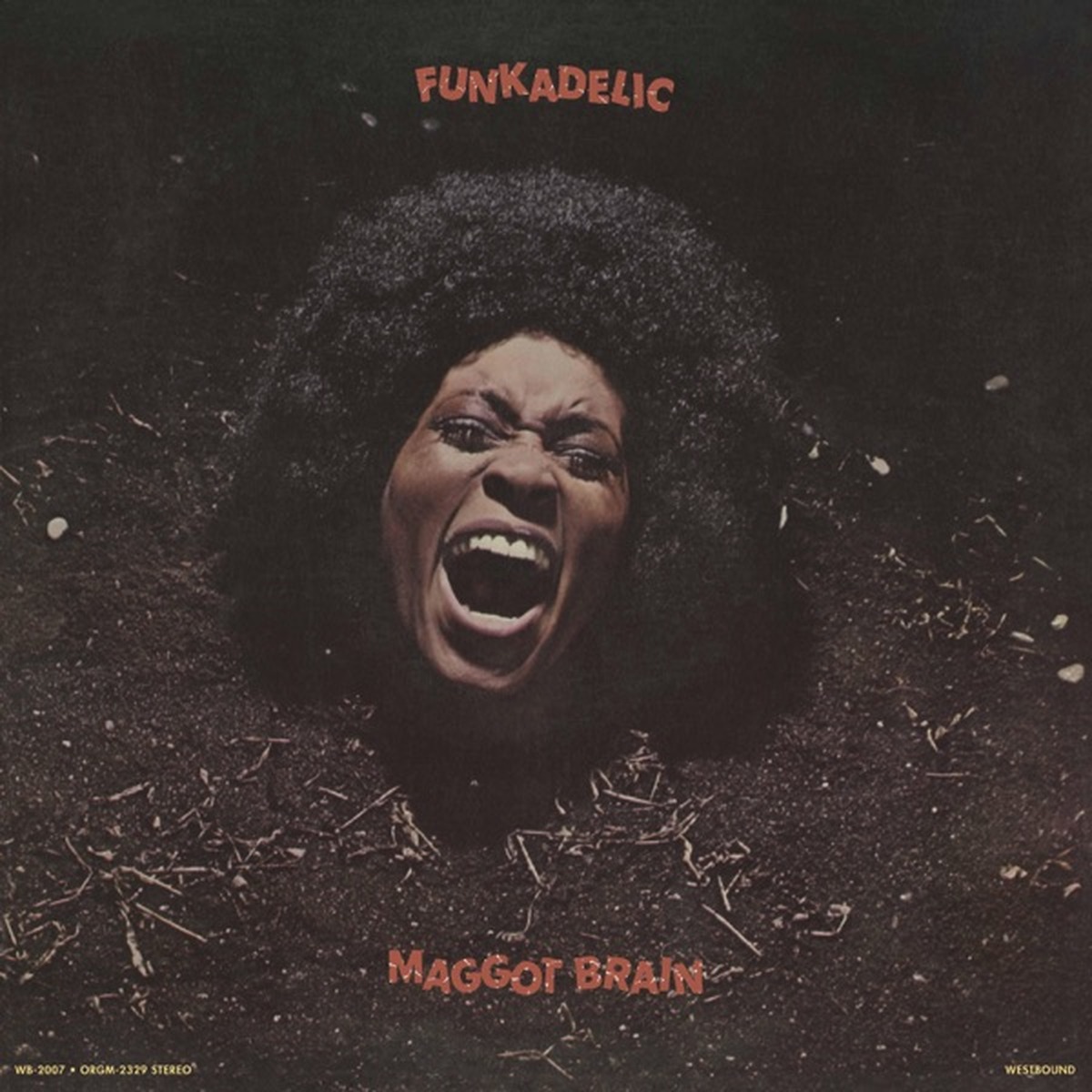 Maggot Brain by Funkadelic album cover