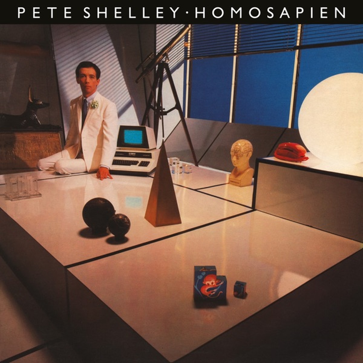 Homosapien by Pete Shelley album cover