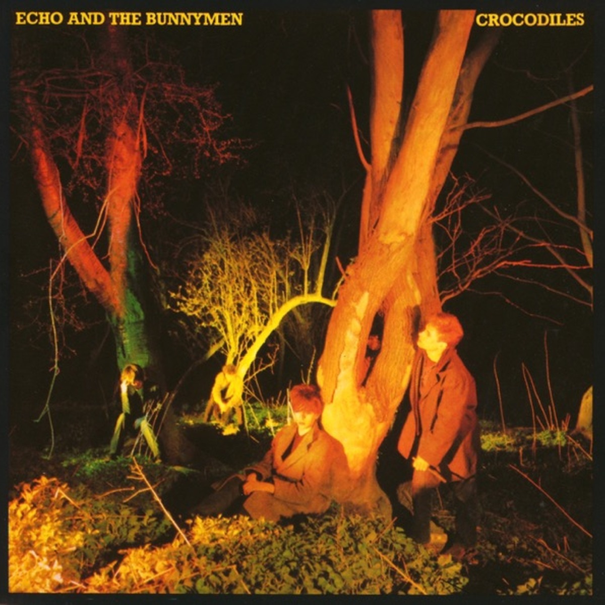 Crocodiles (album) by Echo & The Bunnymen album cover
