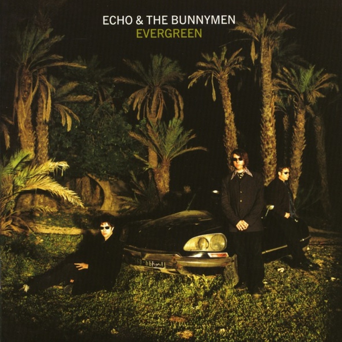 Evergreen by Echo & The Bunnymen album cover