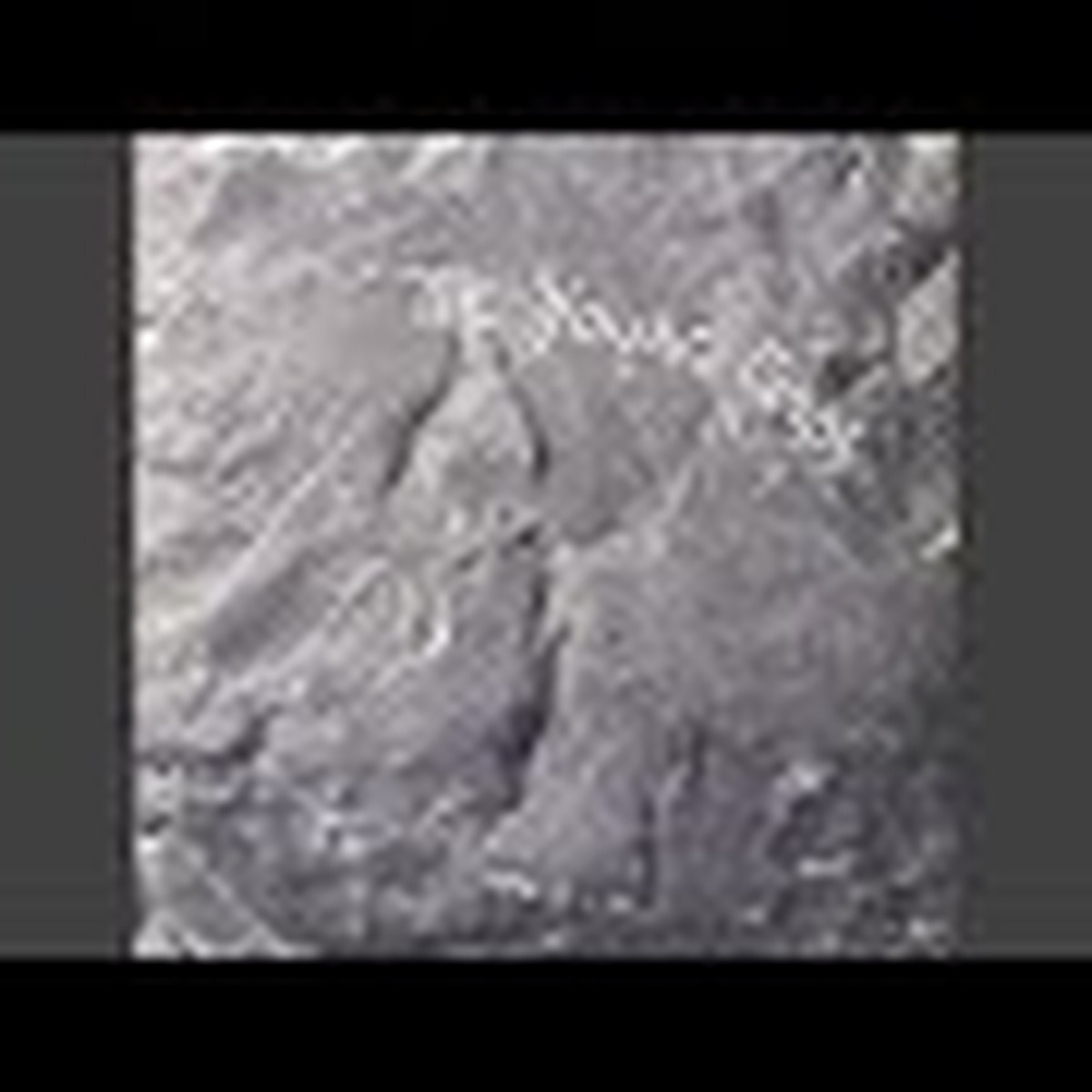 The Young Gods (album) by The Young Gods