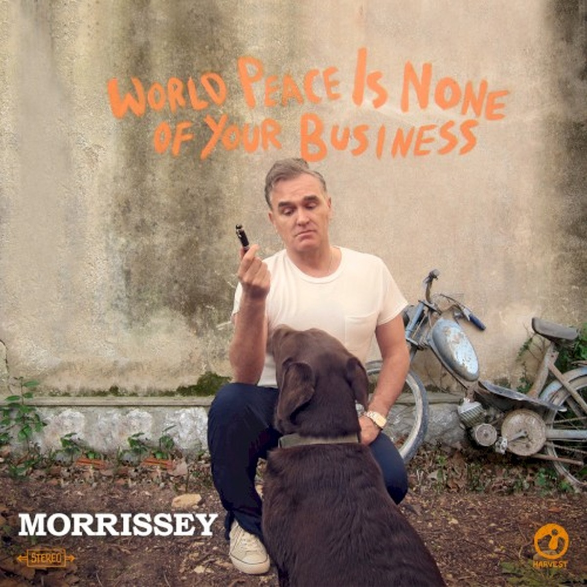 World Peace Is None of Your Business by Morrissey album cover