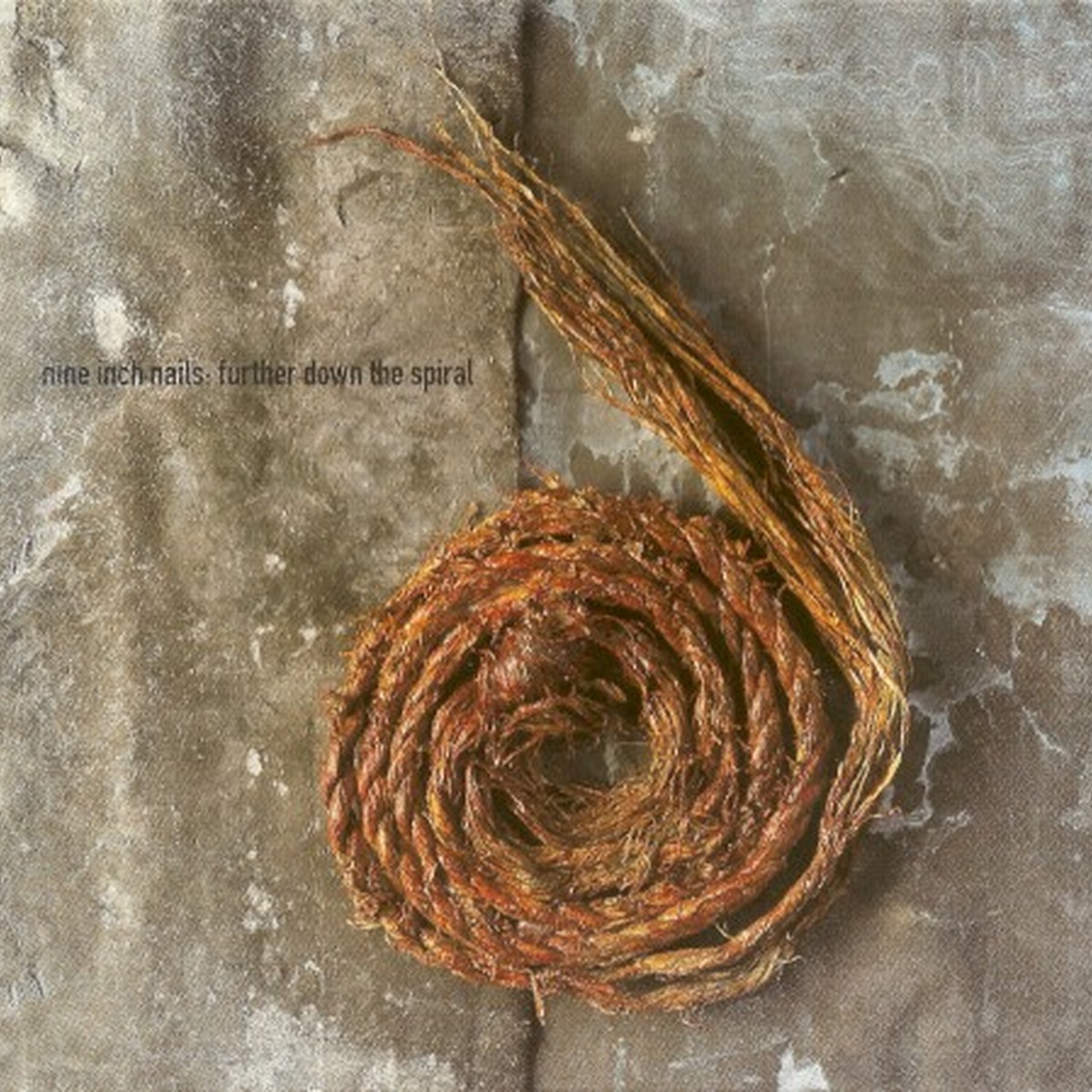 Further Down the Spiral by Nine Inch Nails album cover