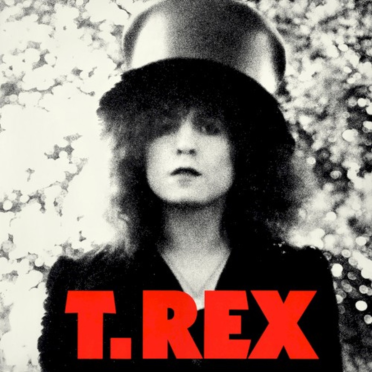 The Slider by T. Rex album cover