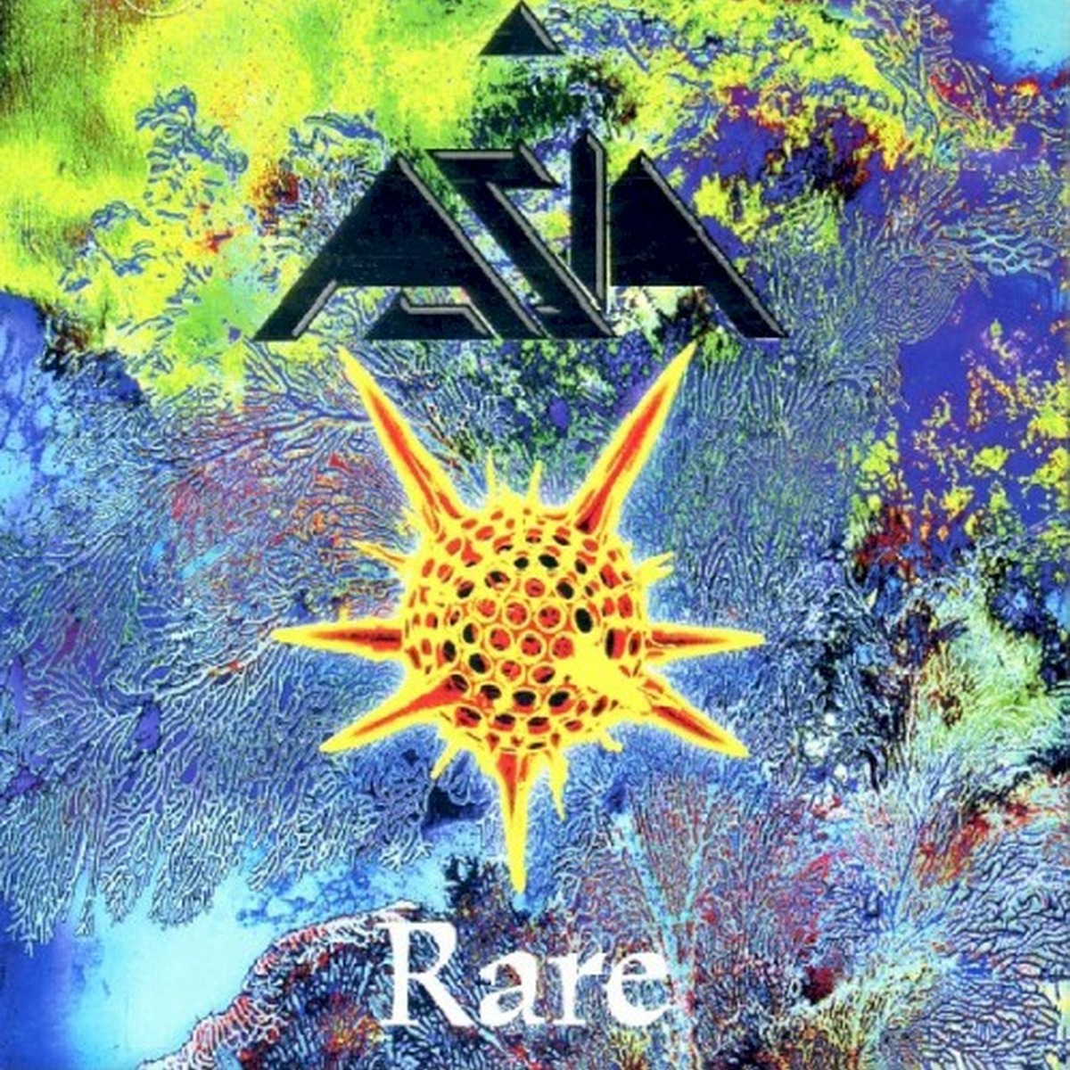 Rare by Asia album cover