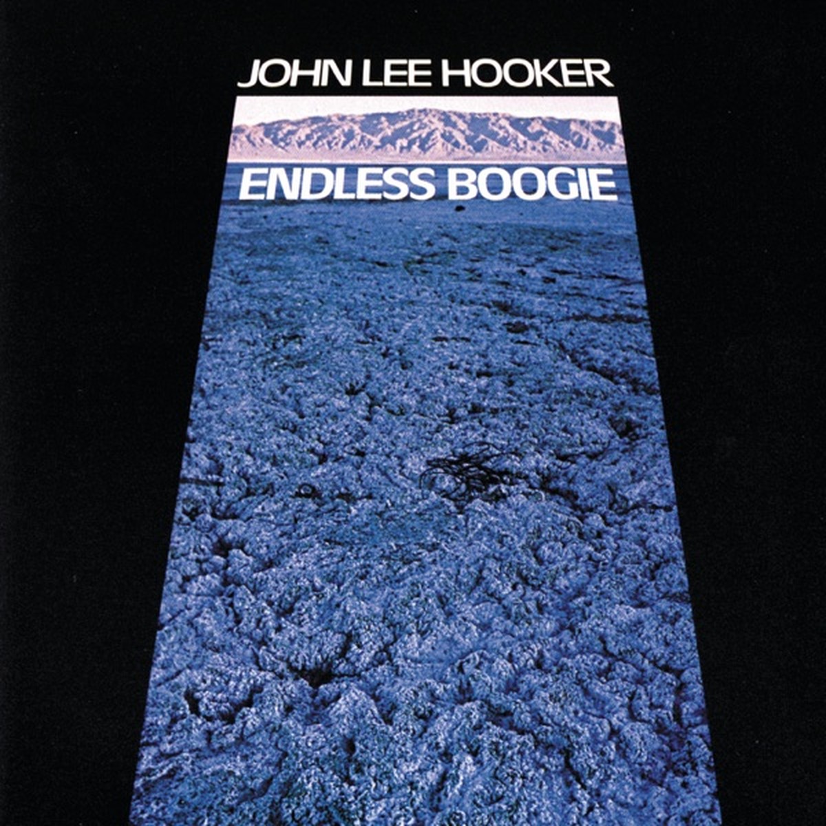 Endless Boogie by John Lee Hooker album cover