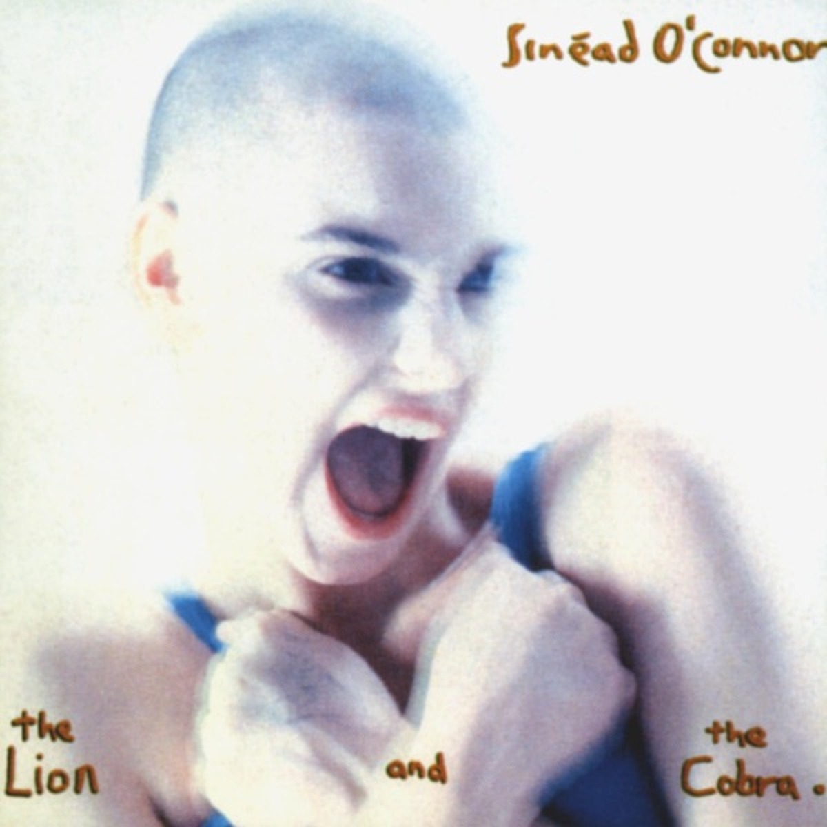 Faith and Courage by Sinéad O'Connor album cover