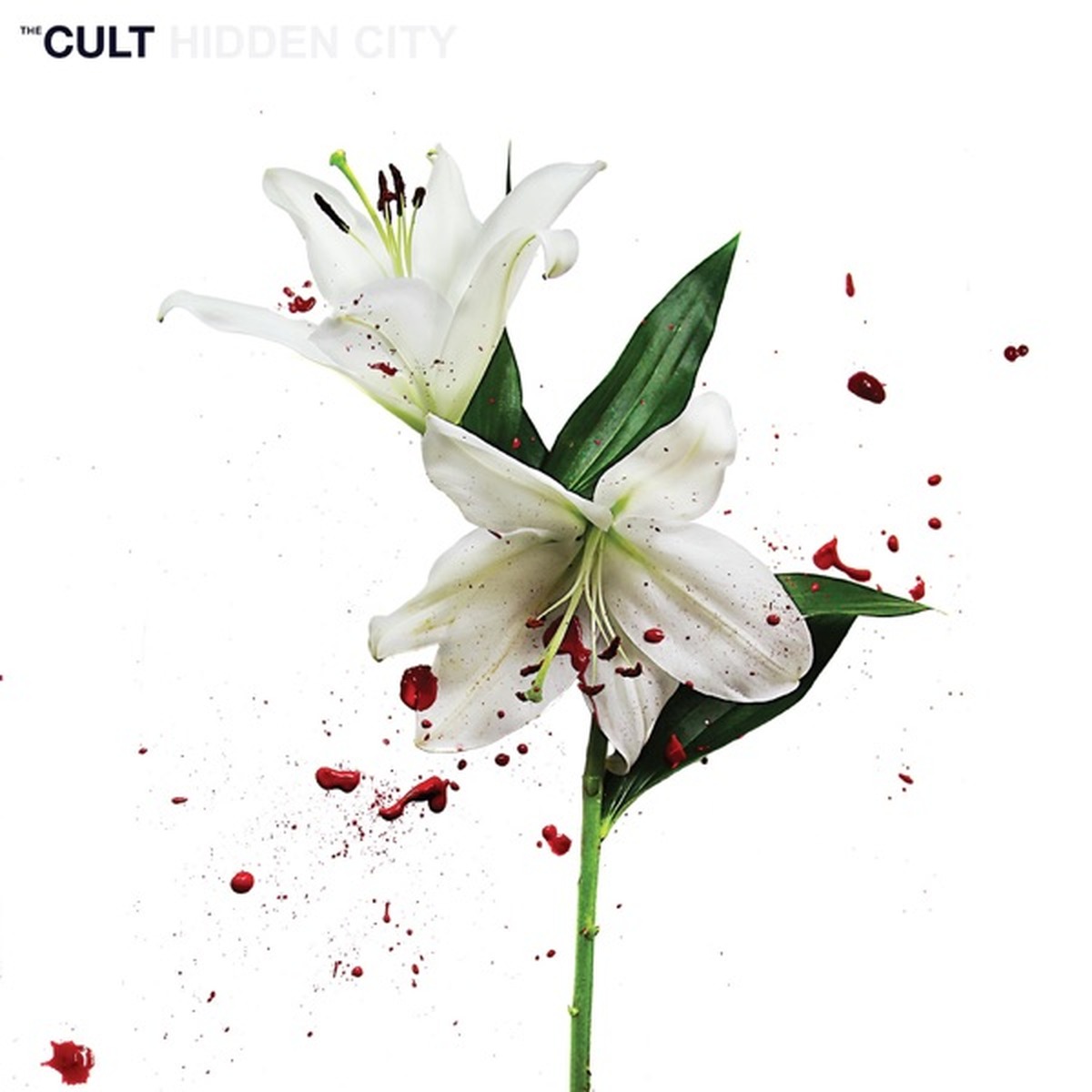 Hidden City by The Cult album cover